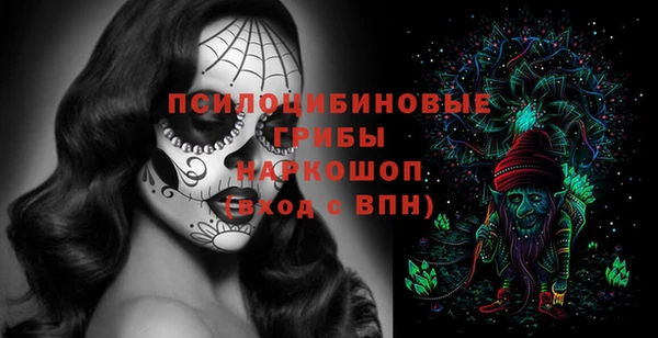 apvp Абаза