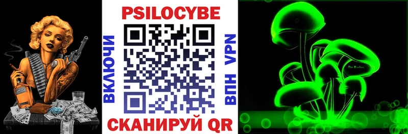 цена наркотик  Каргополь  Псилоцибиновые грибы прущие грибы 