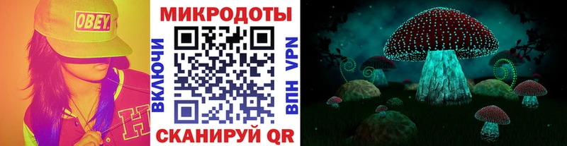 Галлюциногенные грибы мицелий Каргополь